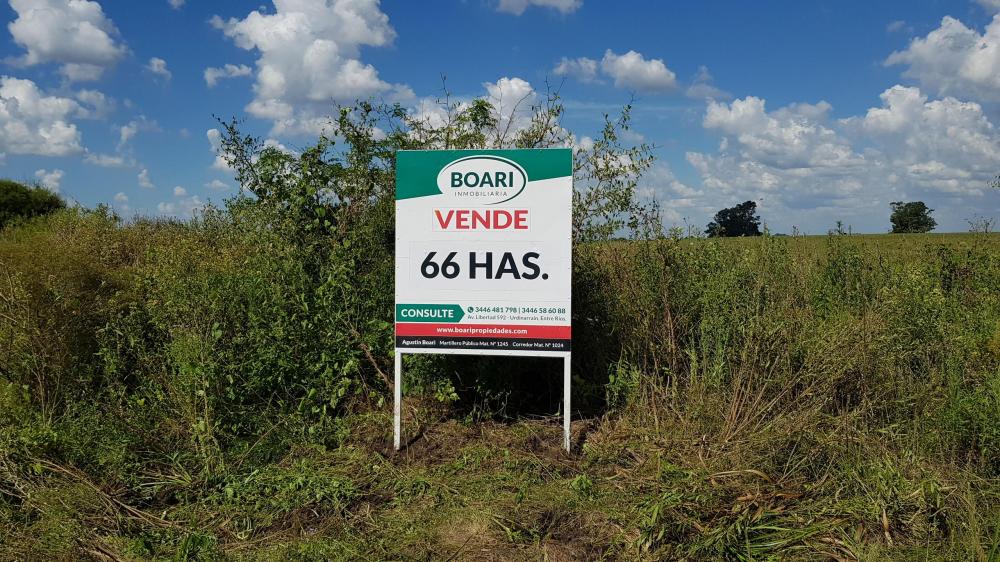 VENDO Basavilbaso 66 has. Agrícolas