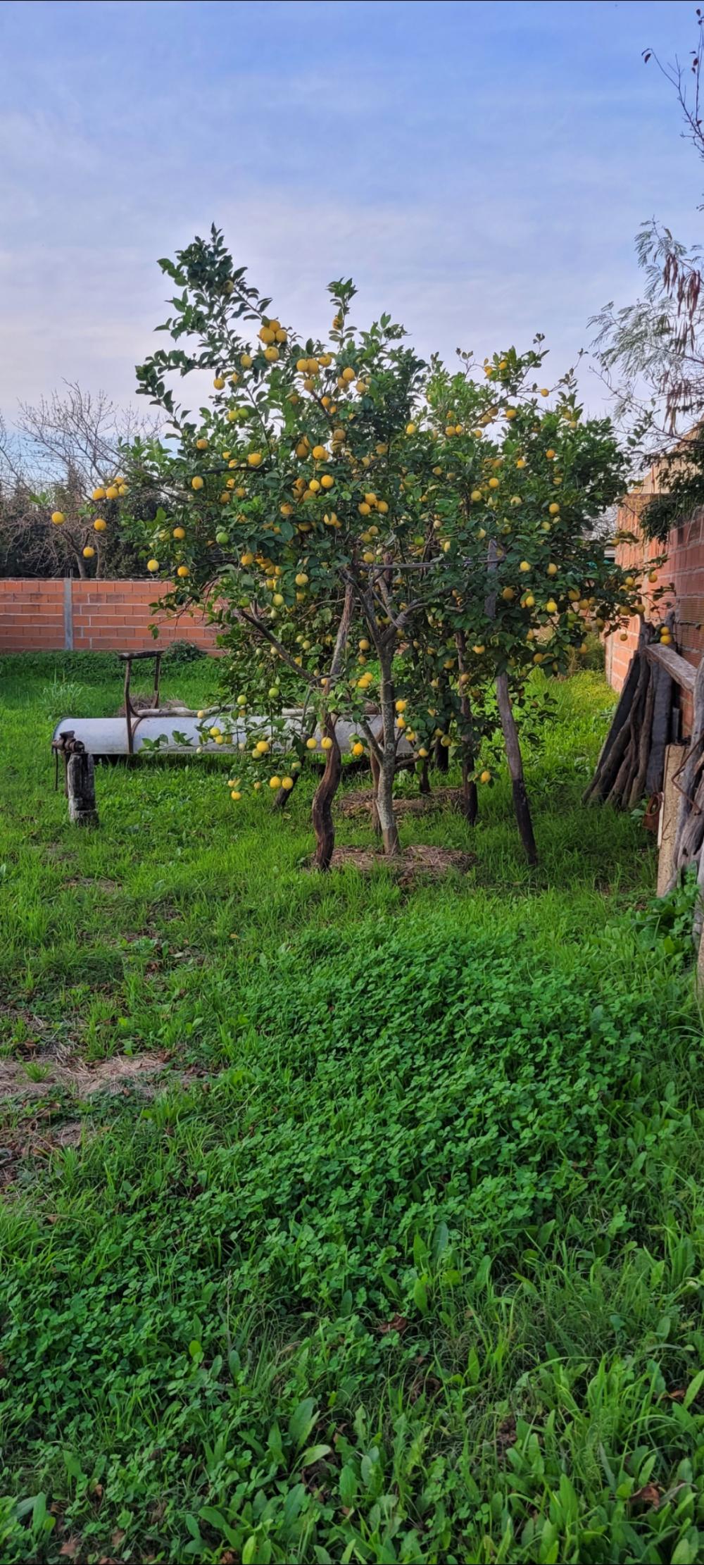 VENDO CASA (R. Z. Peña) Urdinarrain 